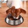 Aiwanto Pet Food Bowl Dog and Cat Food Bowl Steel Bowl (18cm*5cm, Silver)