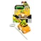 Teenage Mutant Ninja Turtles Rad Rip Racers Car Toy