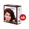 GLORY BROWN HENNA 10G*6P