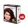 GLORY BROWN HENNA 10G*6P