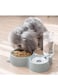 Sky-Touch 2-In-1 Dogs Cats Stainless Steel Feeder And Auto Gravity Water Dispenser, Automatic Water &amp; Food Bowls