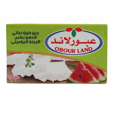 عبور لاند جبنة براميلي - 250 جرام