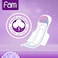 Fam Maxi Classic Sanitary Pads With Wings White 10 countx3