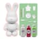 BUNNY MONEY SAVER FIGURINE (9 inch - 23 cm) ACRYLIC DRIP POURING PAINT DIY SET Colors: White, Rose-Red, Mint-Green.