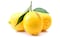 Mafa Lemon - 500 gram