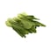 Yellow Bird Pack Choy 250g