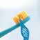 Flipper Toothbrush Twigo For Kids, Twin Pack, Soft Bristles, Made In Malaysia - Blue &amp; White