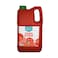 Benina Ketchup Gallon 4.2KG