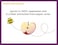 Zarbee's Naturals Children's Elderberry Immune Support* Gummies With Vitamin C, Zinc, Natural Berry Flavor, 42 Count