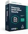 Kaspersky Small Office Security 5 5 1 User Retail