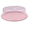 Round Cake Container