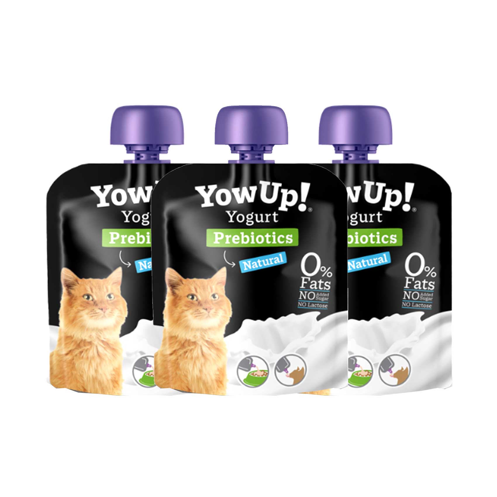 Dairy Products Can My Cat Eat Greek Yogurt Can I Feed My Cat