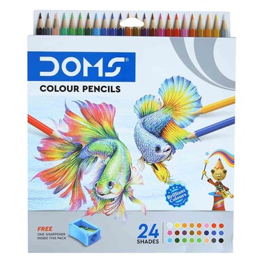 DOMS COLOUR PENCILS 24S F/S 3446