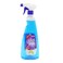 CLEANOX TOILET DISINFECTANT 750ML