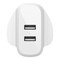 Boost Charge Dual USB-A Wall Charger 24W + USB-A To Micro-USB Cable