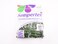 Sempertex 50 pcs, 260q Long Balloons, Fashion Eucalyptus, Latex Balloons