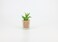 Artificial succulent bonsai-Model 03