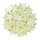 4M Glow-In-The-Dark Mini Stars 5221