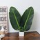 Banana Leaf Decorative Banana-2Pcs