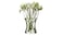 Vase, clear glass20 cm