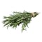 Rosemary Packet 100g