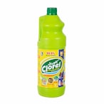 Buy Clorel Liquid Multi-Purpose Cleaner with Pine Scent - 1 Liter in Egypt