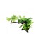 Yusee Aquarium Decoration - Artificial Plant - YS-1958C