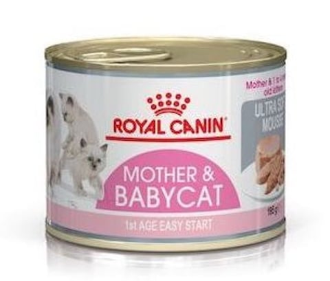 Mother cat food hotsell