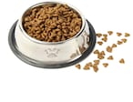 Buy Aiwanto Pet Food Bowl Dog and Cat Food Bowl Steel Bowl (18cm*5cm, Silver) in UAE