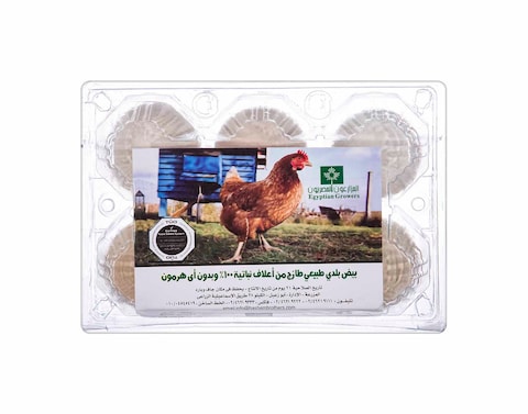 المزارعون المصريون بيض بلدي - 6 بيضات