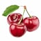 Eva Red Cherry