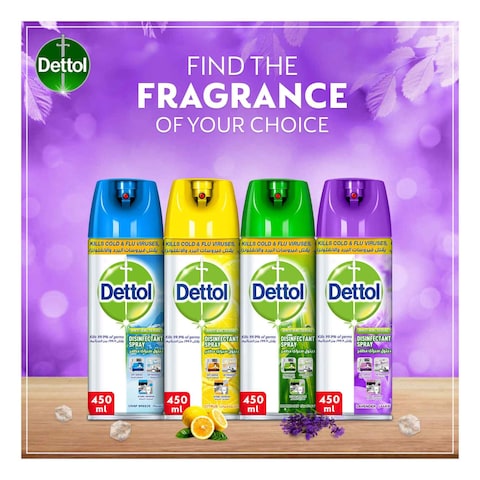 Dettol Anti-Bacterial Disinfectant Spray 450ml
