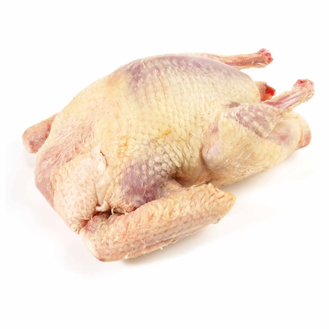 دجاج طازج