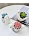 Generic 3 Pcs Lovely Birds Succulent Ceramic Flower Pot Cute Animal Mini Green Plant Basin Planter Home Decoration Fairy Gardening