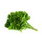 Curly Parsley