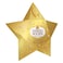 Ferrero Rocher Star 37.5g