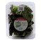 Red Boston Lettuce Box