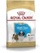 Royal Canin Bhn Shih Tzu Puppy 1.5 Kg Breed Health Nutrition Dog Food,, Shih Tzu Puppy Dog Dry Food