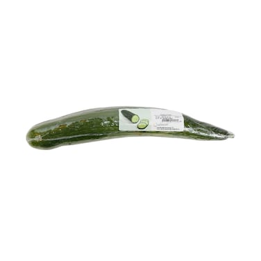 Cucumber Long Import 1 Piece