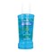 Herbion Pyrodent Mouth Wash Peppermint 300 ml