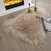 Generic Ashler Ultra Soft Faux Sheepskin Fur Rug Beige Fluffy Area Rug Shag Rug Carpets For Bedroom Living Room, 2 X 3 Feet