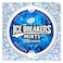 Hershey's Ice Breaker Coolmint Mints Candy 42g