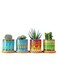 Generic 4 Pcs Succulent Plant Pots Small Modern Ceramic Indoor Planter With Bamboo Tray For Cactus Herbs Home Design 2 (Plants Not Included)