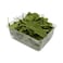 Altamura Organic Baby Spinach