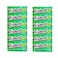 Trident Chewing Gum Spearmint 8GR X12
