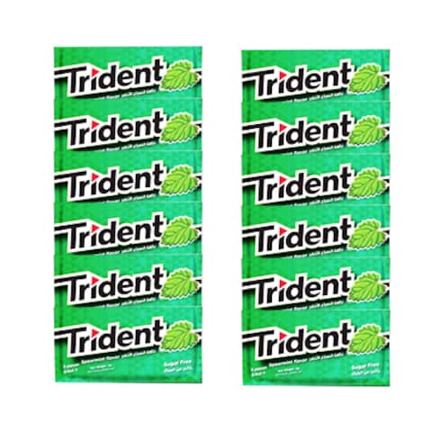 Trident Chewing Gum Spearmint 8GR X12