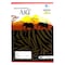 KARTASI EX.BOOK A4 96P SINGLE LINE