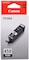 Canon Pgi-450 Pgbk Black Ink Cartridge