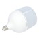Tuff Led Bulb