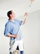 Abbasali Extension Pole 2Mtr with Paint Roller 9 inch for wall and ceiling